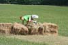 20070615_1680